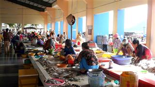 Ha Tien Fish Market