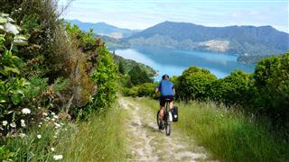 Descending Queen Charlotte Track